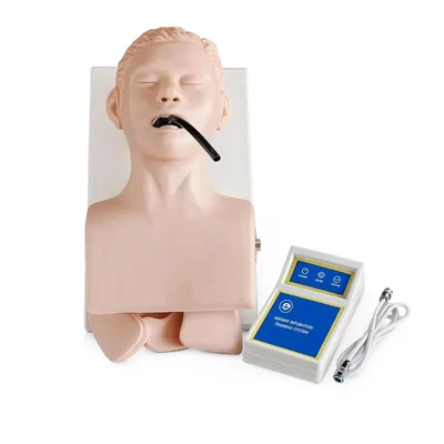 ConXport Adult Human Trachea Intubation Training Model Airway Simulator