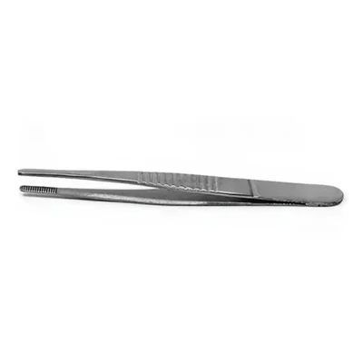 ConXport 10 Inch Dissecting Forcep Stainless Steel Fully Polished