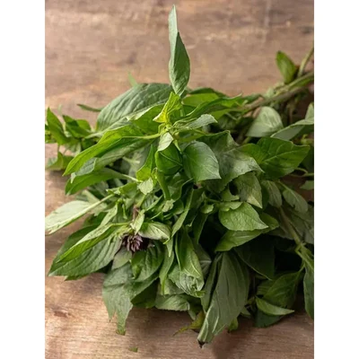 GEBDINSH GARDEN Organic Thai Basil Seeds 30-40 Seeds Per Packet for Garden Use