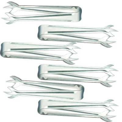 Pack of 6, Stainless Steel 16cm Ice Tongs, Chicken Feet Claw Grip for Bar & Catering Serving Tool