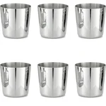Pack of 6, Stainless Steel Plain French Fry Cup 3.38x4.75 Inch for Commercial Restaurant Food Service and Home Serving