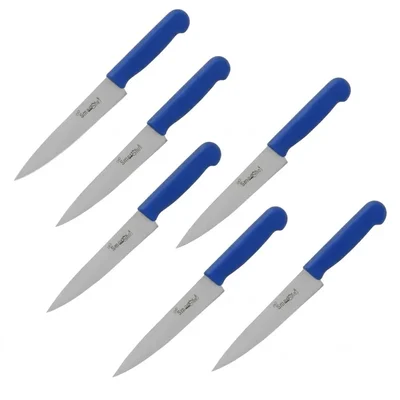Smart Chef (AS00401-04) Blue SS Cook Chef Knife, 8 inch Blade (6 pcs) for Chopping, Dicing, Slicing & Prep Work