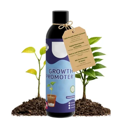 Nursery Organic Plant Growth Promoter 200ml Liquid Concentrate Fertilizer for Indoor & Outdoor Plants