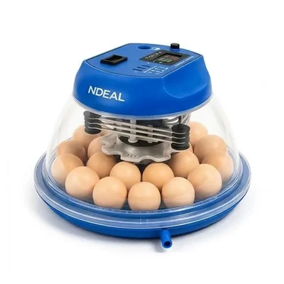 Ndeal 18 Eggs Electric Automatic Incubator, 50W Plastic Body, Built-In Temperature Control for Hatching Chicken Eggs