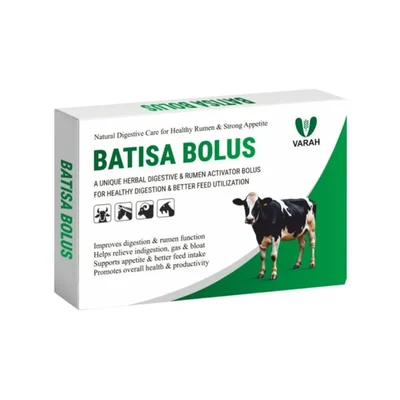 VarahVet Batisa Bolus, Ayurvedic Digestive Tonic to Treat Rumen Function and Restores Appetite for Cattle