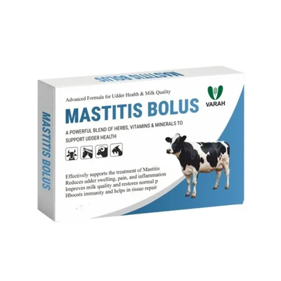 VarahVet Mastitis Bolus to Treat Clinical & Subclinical Mastitis, Reduce Udder Swelling, Restore Milk Quality for Cattle