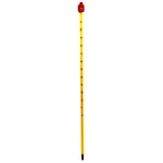 ICHEM Laboratory Glass Thermometer Alcohol -10 To 110 C Red Liquid Single Piece Yellow Scale