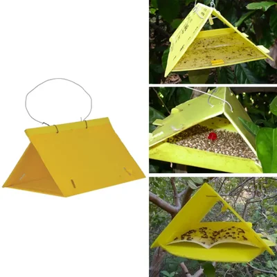 Delta Trap of 3 mm Thickness, 25 cm Length and 20 cm Width(Pack-25 Pcs)
