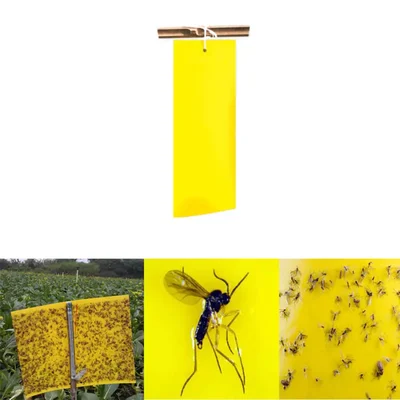 Made in India Yellow Sticky Trap(Pack-25 Pcs)