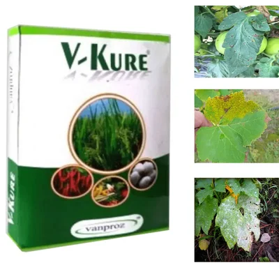 Organic V-kure, Bactericide & Fungicide Special(Quantity-500 gm)