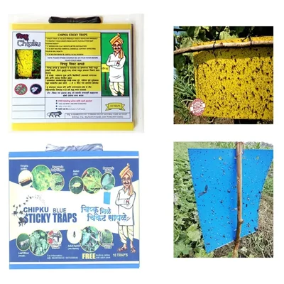 Chipku A4 Size Yellow & Blue Sticky Traps Of 200 x 300mm(Pack-10 Pcs)