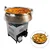 Ecosense Commercial Biomass Pellet Cook Stove, 300 Kg Weight Loading Capacity