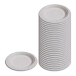 Cornstarch Round Plates, Biodegradable Food Serving Plate for Catering, Restaurant