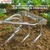 Global Nature Agro 5-Tine Heavy-Duty Manual Weeder & Soil Cultivator Without Handle For Farm & Garden