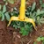 Farmio 8 Inches Manual Hand Weeder With Handle For Garden And Agricultural Purpose