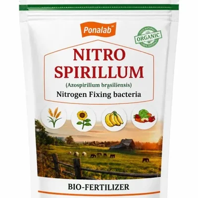 NITROSPIRILLUM Bio-Fertilizer (1 kg Powder) High-Potency Natural Nitrogen-Fixing Bacteria & Root Growth Booster