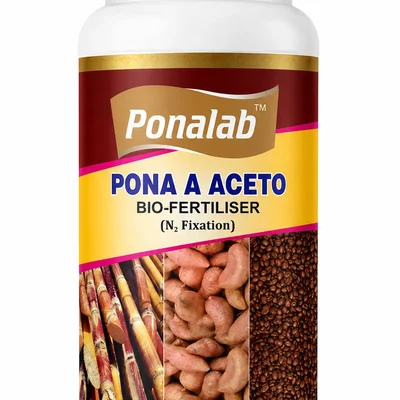 Pona Aceto Bio-Fertilizer 5L Acetobacter spp. (1x10^8 CFU/ml) Nitrogen-Fixing Inoculant for Sugarcane, Banana, Pineapple