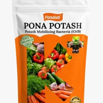 Pona Potash Bio-Fertilizer Powder 1 kg Potassium Mobilizing Bacteria (5x10^7 CFU/g) for Commercial Crops