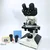 SBT Instruments 2500X Magnification Binocular Compound Microscope with Wide Field Eyepiece 18mm for Laboratory 