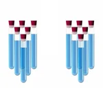 SBT Instruments Borosilicate Glass 12pcs Test Tube 15mmX125mm with 12pcs Cork for Laboratory