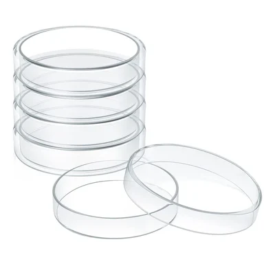 SBT Instruments Borosilicate Glass 6pcs Petri Dishes Set, 150mm Diameter for Microbiology Experiments
