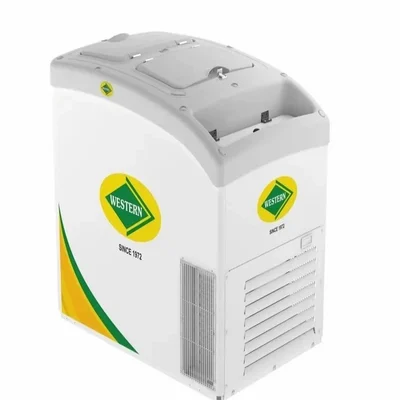 WESTERN 220L Deep Freezer on Wheels, G300H120 for Supermarkets with 4 years Warranty